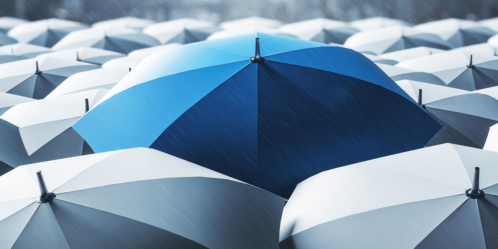 Umbrella Liability